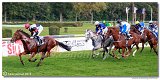 dostih . 5 - 25. Cena Whisky spolonosti ARQANA 