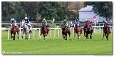 dostih . 5 - 25. Cena Whisky spolonosti ARQANA 