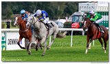 dostih . 5 - 25. Cena Whisky spolonosti ARQANA 