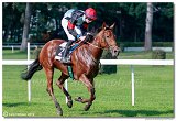 dostih . 5 - 25. Cena Whisky spolonosti ARQANA 