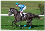 dostih . 7 - 27. Slovensk St. Leger 