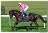 dostih . 7 - 27. Slovensk St. Leger 