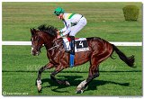 dostih . 7 - 27. Slovensk St. Leger 