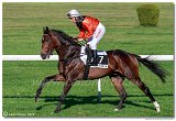 dostih . 7 - 27. Slovensk St. Leger 