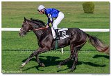 dostih . 7 - 27. Slovensk St. Leger 