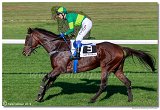 dostih . 7 - 27. Slovensk St. Leger 