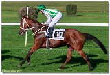 dostih . 7 - 27. Slovensk St. Leger 