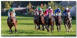 dostih . 7 - 27. Slovensk St. Leger 