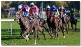 dostih . 7 - 27. Slovensk St. Leger 
