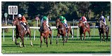 dostih . 7 - 27. Slovensk St. Leger 