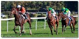 dostih . 7 - 27. Slovensk St. Leger 
