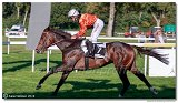 dostih . 7 - 27. Slovensk St. Leger 