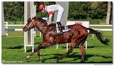 dostih . 7 - 27. Slovensk St. Leger 