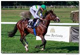 dostih . 7 - 27. Slovensk St. Leger 