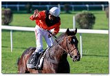 dostih . 7 - 27. Slovensk St. Leger 
