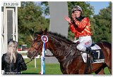 dostih . 7 - 27. Slovensk St. Leger 