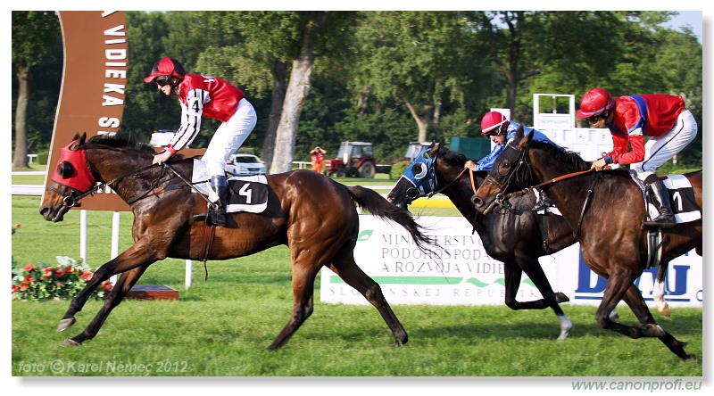 Bratislava - 03. júna 2012