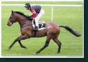 Cena Racing Post Yearling Bonus