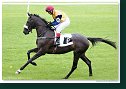 Cena Racing Post Yearling Bonus