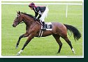 Cena Racing Post Yearling Bonus