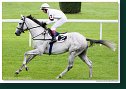 Cena Racing Post Yearling Bonus