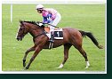 Cena Racing Post Yearling Bonus
