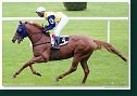 Cena Racing Post Yearling Bonus
