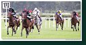 Cena Racing Post Yearling Bonus