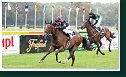 Cena Racing Post Yearling Bonus