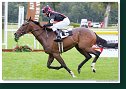Cena Racing Post Yearling Bonus