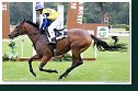 Cena Racing Post Yearling Bonus