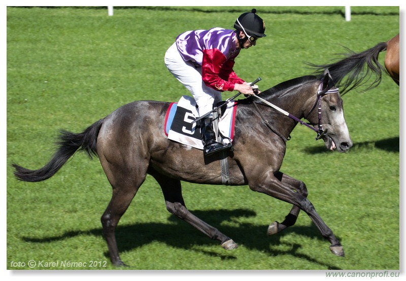 Bratislava - 09. septembra 2012