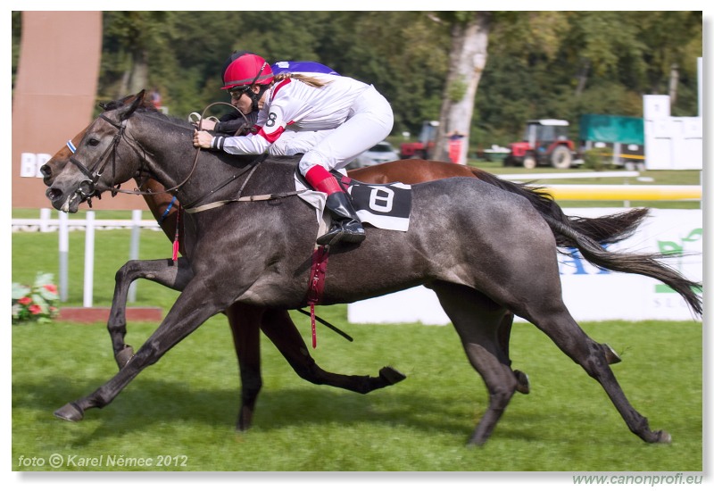 Bratislava - 30. septembra 2012