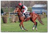 45. Jarn cena Petralky 