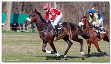 45. Jarn cena Petralky 