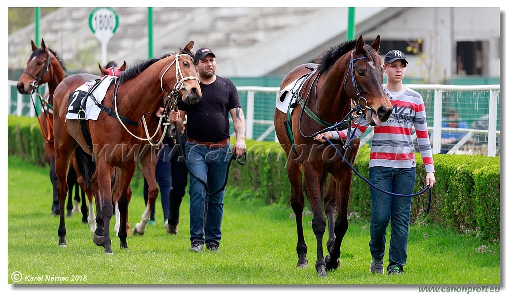 Bratislava - 15. aprl 2018 