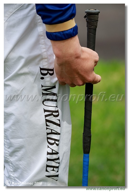 Bratislava - 15. aprl 2018 