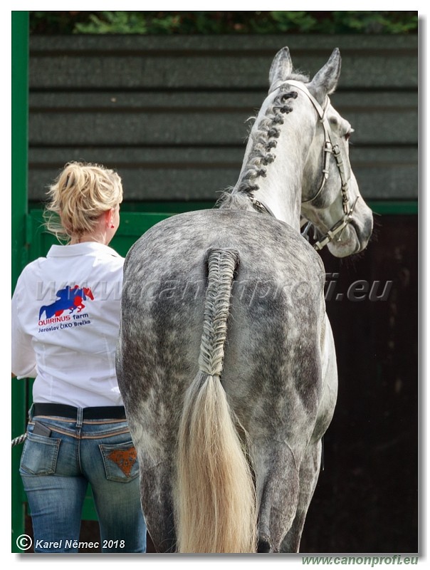 Bratislava - 15. aprl 2018 