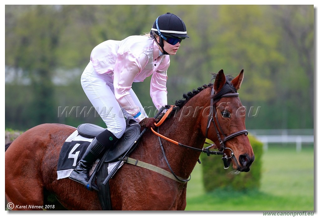 Bratislava - 15. aprl 2018 
