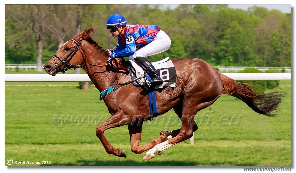 Bratislava - 22. aprl 2018 