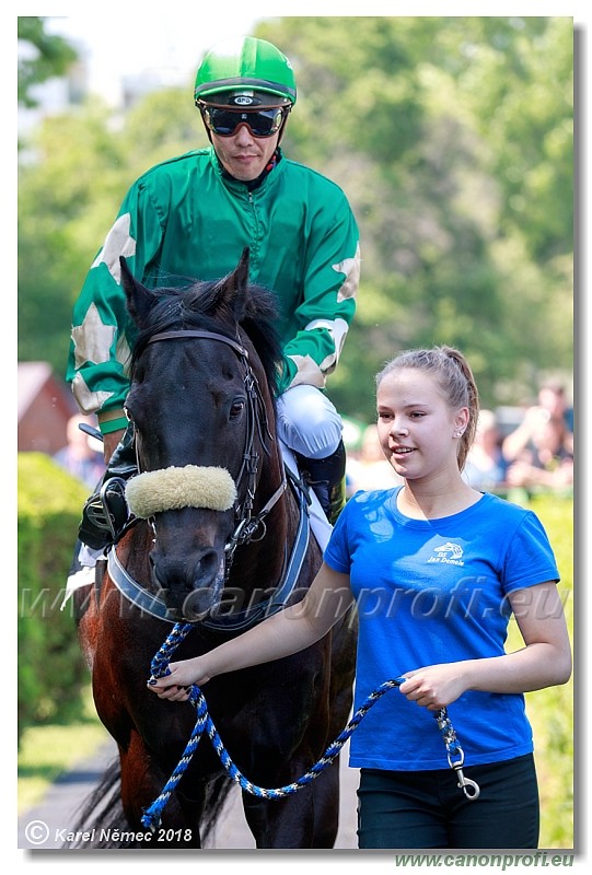 Bratislava - 13. mj 2018 