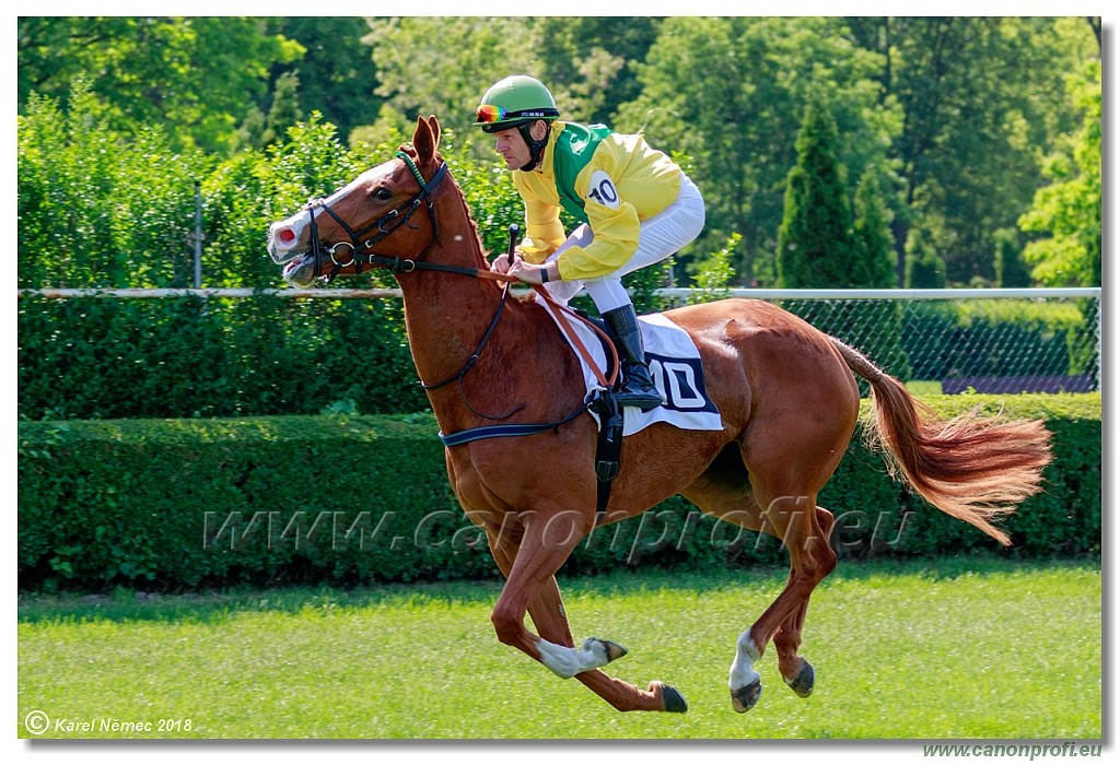 Bratislava - 13. mj 2018 