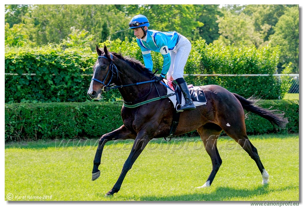 Bratislava - 13. mj 2018 