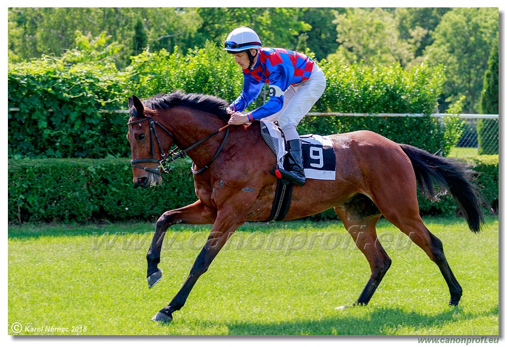 Bratislava - 13. mj 2018 