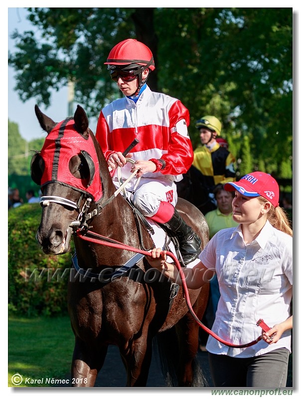 Bratislava - 13. mj 2018 
