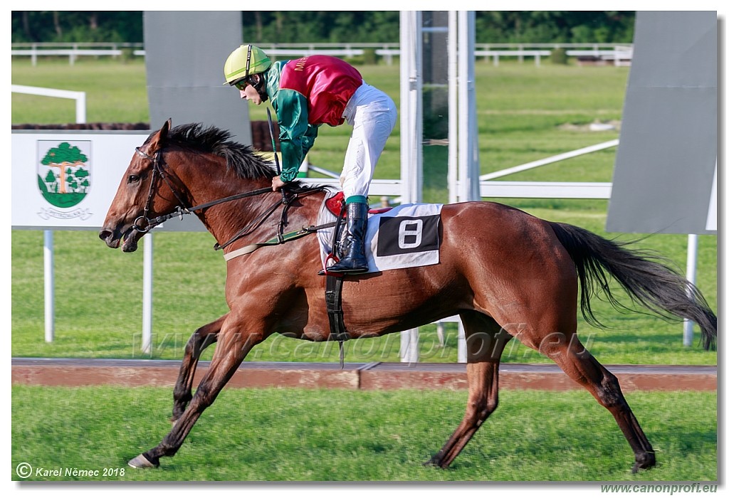Bratislava - 13. mj 2018 
