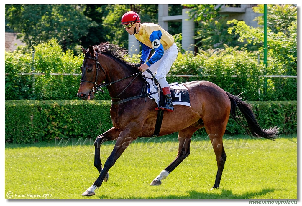 Bratislava - 20. mj 2018 