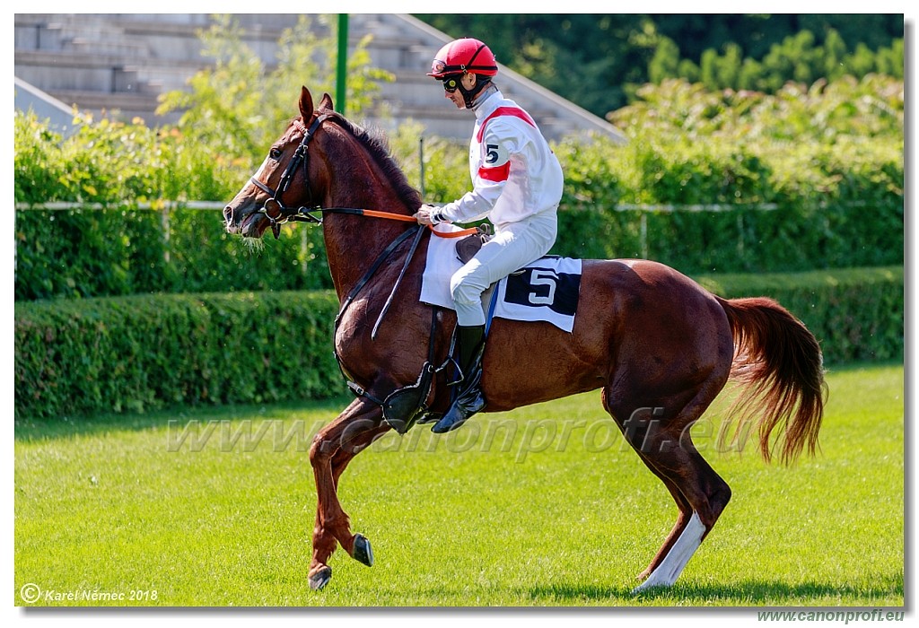 Bratislava - 20. mj 2018 