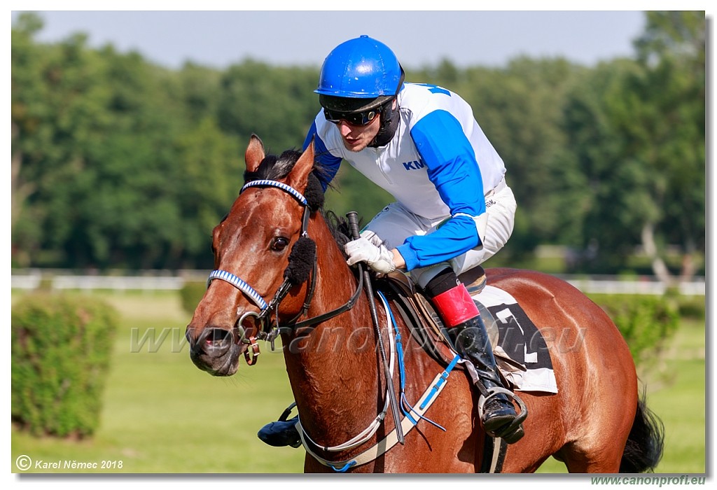 Bratislava - 20. mj 2018 
