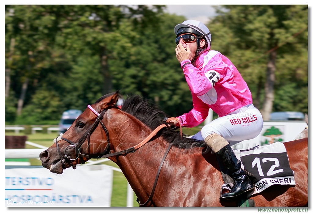 Bratislava - 15. jl 2018 